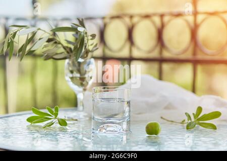 Elegante Cocktails im Sommer. Die dekorativen grünen Blätter blühen und der Zweig des Olivenbaums im Glas. Glyphe der Reinigung. Weißer und grüner natürlicher Hintergrund. Stockfoto