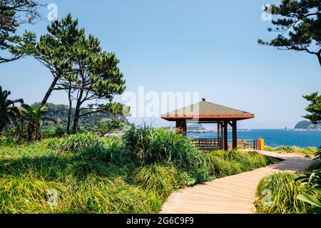 Sommer auf dem Jeju Olle Trail auf der Insel Jeju, Korea Stockfoto