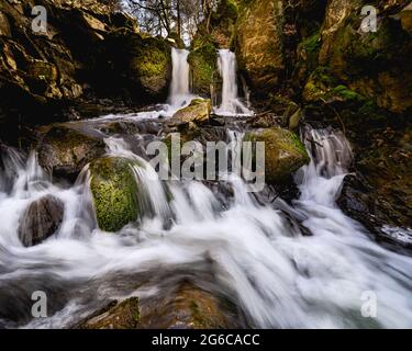 Tom Ghyll Wasserfälle in Tarn Hows im Lake District National Park. Dieser Wasserfall kommt von Tarn Hows und fließt durch den Wald hinunter. Stockfoto