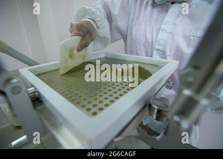 Laborgeräte für die Herstellung von Weichgel-Kapseln Stockfoto