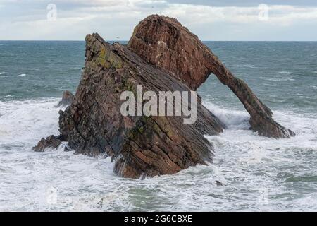 Bogen Sie Geige Rock, Portknockie, Moray, Schottland, Vereinigtes Königreich Stockfoto