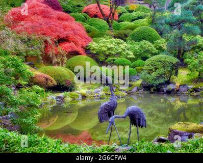 Skulptur und Teich mit Herbstfarben. Portland japanische Gärten. Oregon Stockfoto