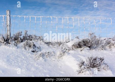 Während eines kalten Winters in den Yorkshire Dales, Großbritannien, bildet sich auf dem Drahtzaun Reif. Stockfoto