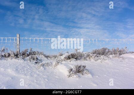 Während eines kalten Winters in den Yorkshire Dales, Großbritannien, bildet sich auf dem Drahtzaun Reif. Stockfoto