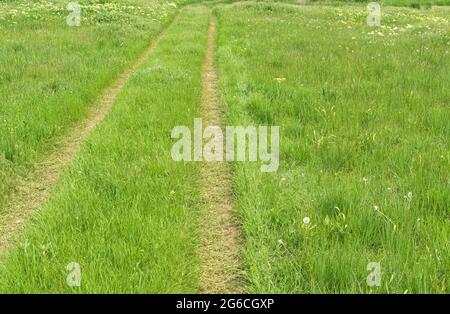 Landschaft mit Spur (Erdstraße) in der Wiese in der Zentralukraine in der Frühjahrssaison. Stockfoto