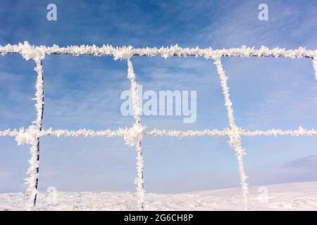 Während eines kalten Winters in den Yorkshire Dales, Großbritannien, bildet sich auf dem Drahtzaun Reif. Stockfoto