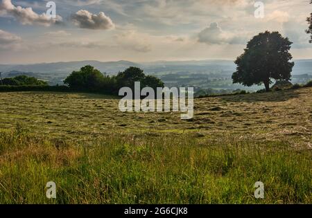 Blick auf Ludlow und die walisischen Grenzen von einem Feld in Knowbury, Ludlow, Shropshire Stockfoto