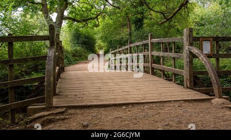 Die Pooh Sticks Bridge war die Pooh Sticks, die im einhundert-Acre-Holz im Ashdown Forest in der Nähe von Hartfield entstanden sind. Stockfoto