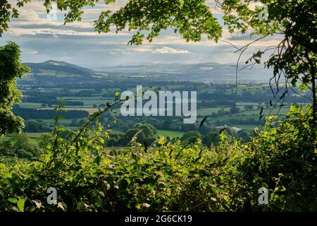 Ludlow und Mortimer Forest und die walisischen Grenzen, von der Nähe von Knowbury, Ludlow, Shropshire aus gesehen Stockfoto