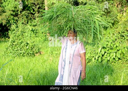 Farmfrauen tragen grünes Gras auf ihrem Kopf Stockfoto