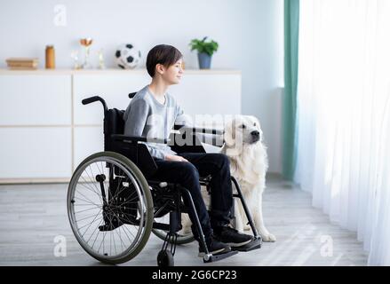 Konzept der menschlichen Tierfreundschaft. Behinderter Teenager-Junge im Rollstuhl streichelte seinen Hund und schaute zu Hause aus dem Fenster Stockfoto