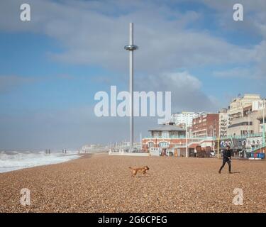 Shelter Hall, Fernsicht entlang des Brighton Strandes mit kontextbezogenen Gebäuden. Shelter Hall, Brighton, Großbritannien. Architekt: R H Partnerschaft Architec Stockfoto