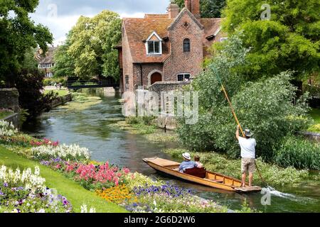 Stecheln auf dem Fluss Stour, West Gate Canterbury Kent Großbritannien Stockfoto