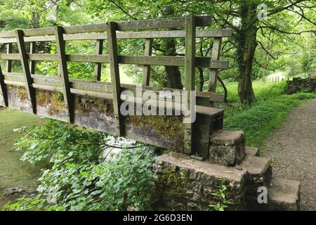 Gipsy Bank Brücke über den Fluss Dove, Wolfscote Dale im Peak District in der Nähe von Hartington, Derbyshire, England, Großbritannien Stockfoto