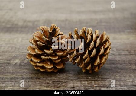 Natürliche zwei Kiefernzapfen auf rustikalem Holz Stockfoto