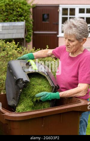 Hampshire, England, Großbritannien. 2021. Frau, die Gras-Stecklinge in einen braunen Mülltonne im Garten leert. Stockfoto