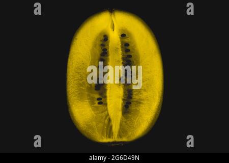 Halbierte Kiwi-Früchte, Stillleben, Studiofotografie, Obst auf schwarzem Hintergrund Stockfoto