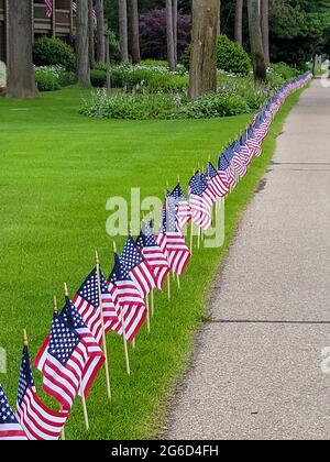 Reihe amerikanischer Flaggen auf grünem Rasen im Vorgarten Stockfoto