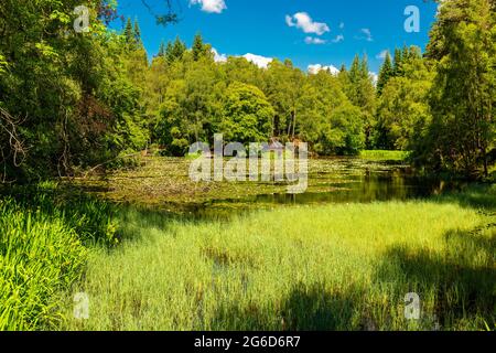 Loch Dunmore in der Nähe der Stadt Pitlochry, Schottland, Großbritannien Stockfoto