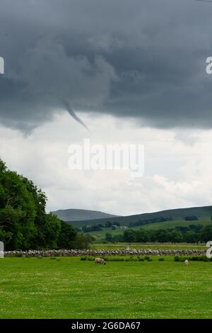 Überraschende Wasserspeier, die aus einer großen dunkelgrauen Wolkenformation über einem Feld mit weidenden Schafen hervorgehen, Hawes, North Yorkshire, England, Großbritannien. Stockfoto