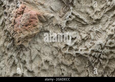 Verwitterter Sandstein; Beach 4, Olympic National Park; Washington Coast Stockfoto