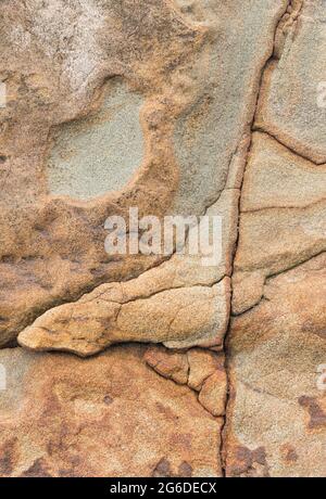 Verwitterter Sandstein; Beach 4, Olympic National Park; Washington Coast Stockfoto