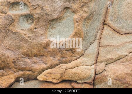 Verwitterter Sandstein; Beach 4, Olympic National Park; Washington Coast Stockfoto