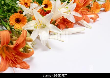 Horizontales Foto mit orangen Blumen Lilie mit einem Platz für Text auf weißem Hintergrund. Grußkarte für Geburtstagsgrüße, Tag des Lehrers, Mutter Stockfoto