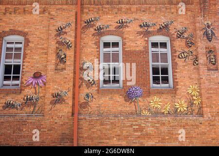 Ein Teil des Bienenbildes, das an der Seite des Burts Bees Hauptquartiers in der Innenstadt von Durham, NC, gemalt wurde Stockfoto