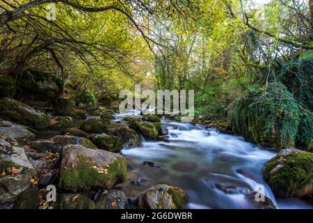 Langandauerndes, glatt fließendes Wasser über Felsen im Wald Stockfoto