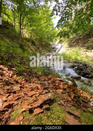 Langandauerndes, glatt fließendes Wasser über Felsen im Wald Stockfoto