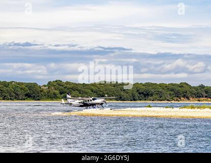 Einmotoriger Cessna-Wasserflugzeug, der am Tyndal Point in North Haven, NY, landet Stockfoto