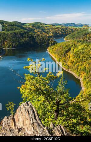 Blick vom Böckfelsen auf den Stausee Hohenwarte im Herbst, Saale-Schleife, Obersaale, Thüringer Schiefergebirge/Naturpark Obersaale Stockfoto