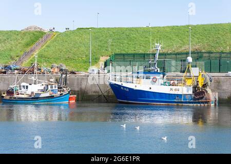 Fischerboote liegen in Eyemouth Harbour, Eyemouth, Scottish Borders, Scotland, Vereinigtes Königreich Stockfoto