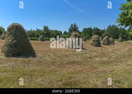 Heuhaufen auf einem Feld, Fränkisches Freilichtmuseum, Bad Windsheim, Mittelfranken, Bayern, Deutschland Stockfoto