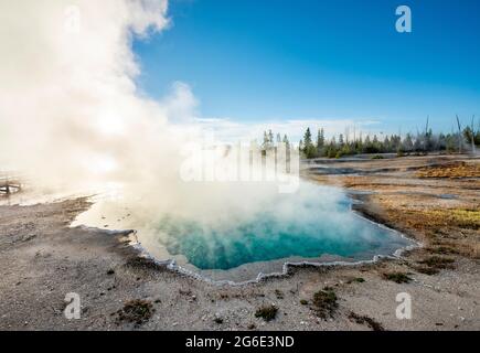 Dampfende heiße Quelle mit türkisfarbenem Wasser in der Morgensonne, Black Pool, West Thumb Geyser Basin, Yellowstone National Park, Wyoming, USA Stockfoto