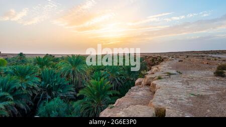 Klippenrand und Tal voller Palmen, Sonnenuntergang, Oase Source Bleu, Blaue Quelle, Madkhal Meski, Marokko Stockfoto