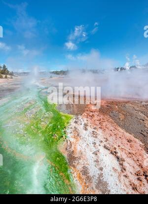 Rote Mineralvorkommen und grüne Algen an einer Thermalquelle, dampfende heiße Quellen, Whirligig Geyser, Noris Geyser Basin, Yellowstone National Park Stockfoto