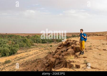 Junger Mann an einer Klippe, hinter einem Tal voller Palmen in der Oase Source Bleu, Blue Spring, Madkhal Meski, Marokko Stockfoto