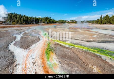 Rote Mineralvorkommen und grüne Algen an einer Thermalquelle, dampfenden heißen Quellen, Noris Geyser Basin, Yellowstone National Park, Wyoming, USA Stockfoto