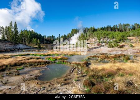 Schlammvulkan, dampfende Thermalquelle im Hintergrund, Dragon's Mouth Spring, Yellowstone National Park, Wyoming, USA Stockfoto