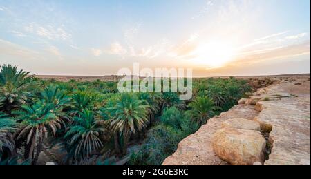 Klippenrand und Tal voller Palmen, Sonnenuntergang, Oase Source Bleu, Blaue Quelle, Madkhal Meski, Marokko Stockfoto