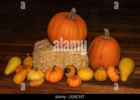 Kürbis- und Kürbisse-Dekoration für eine Herbstdarstellung einer reichen Ernte. Stockfoto