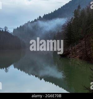 Nebel spiegelt sich im Wasser, Zaovine-See, Tara-Nationalpark, Serbien Stockfoto