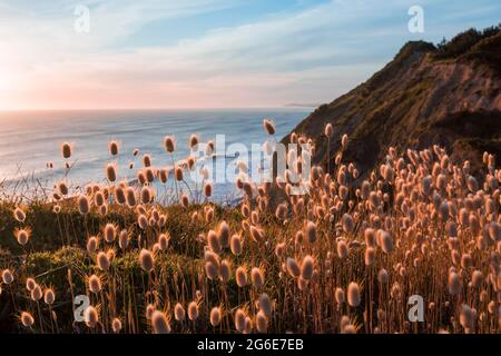 Sonnenuntergang in Mahia Bay, Hawke's Bay, North Island, Neuseeland Stockfoto