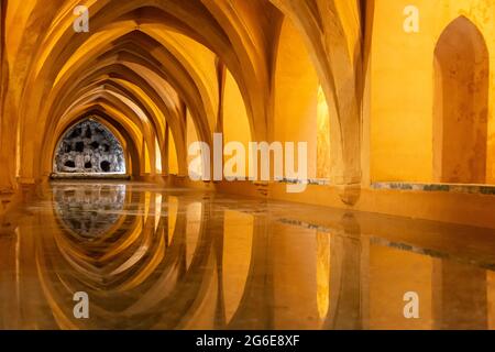 Historischer Stausee, Los Banos de Dona Maria de Padilla, Alcazar-Palast, Sevilla, Andalusien, Spanien Stockfoto