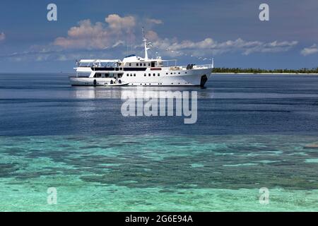 Luxus-Tauchboot, weiß, Pelagian Tauchsafari, vor dem Korallenriff, Wakatobi Dive Resort, Pulau Tolandona, Südost-Sulawesi, Indonesien Stockfoto