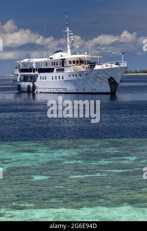 Luxus-Tauchboot, weiß, Pelagian Tauchsafari, vor dem Korallenriff, Wakatobi Dive Resort, Pulau Tolandona, Südost-Sulawesi, Indonesien Stockfoto