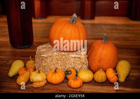 Kürbis- und Kürbisse-Dekoration für eine Herbstdarstellung einer reichen Ernte. Stockfoto