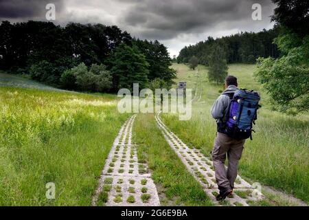 Mann mit Rucksack, Wanderer auf dem Kolonnenweg, Wanderweg durch Wiese und Wald, Lochplattenweg, Gruenes Band, Grenzweg, ehemaliger Deutsch-Deutscher Stockfoto